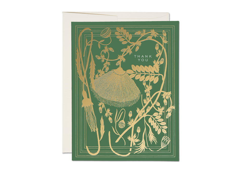 Sage thank you greeting card: Singles