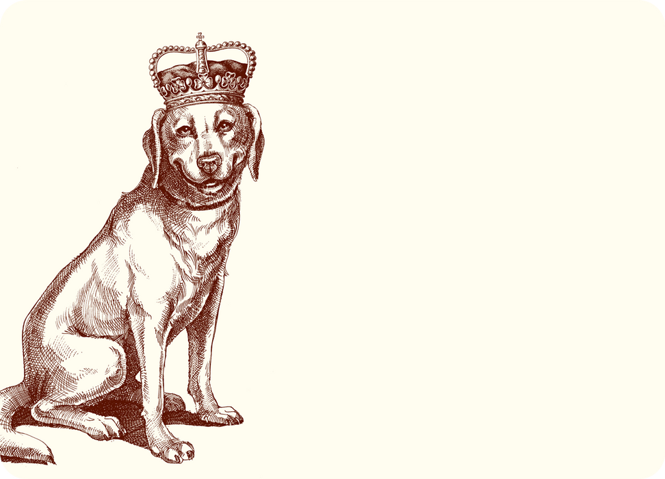 Royal Labrador A6 Notecards