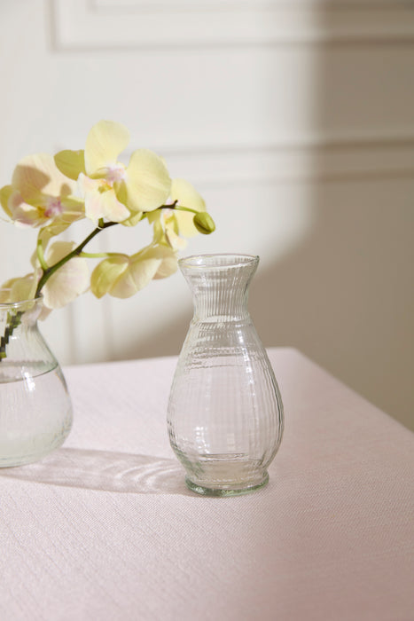 Jaden Budvase