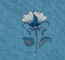 Blue Hibiscus
