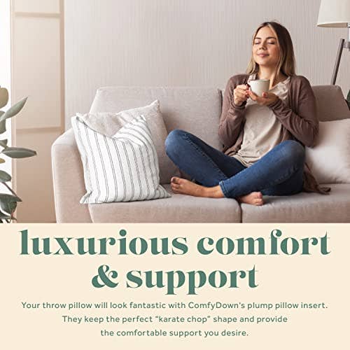 ComfyDown Decorative Throw Pillow Insert, Down - Square: 22X22