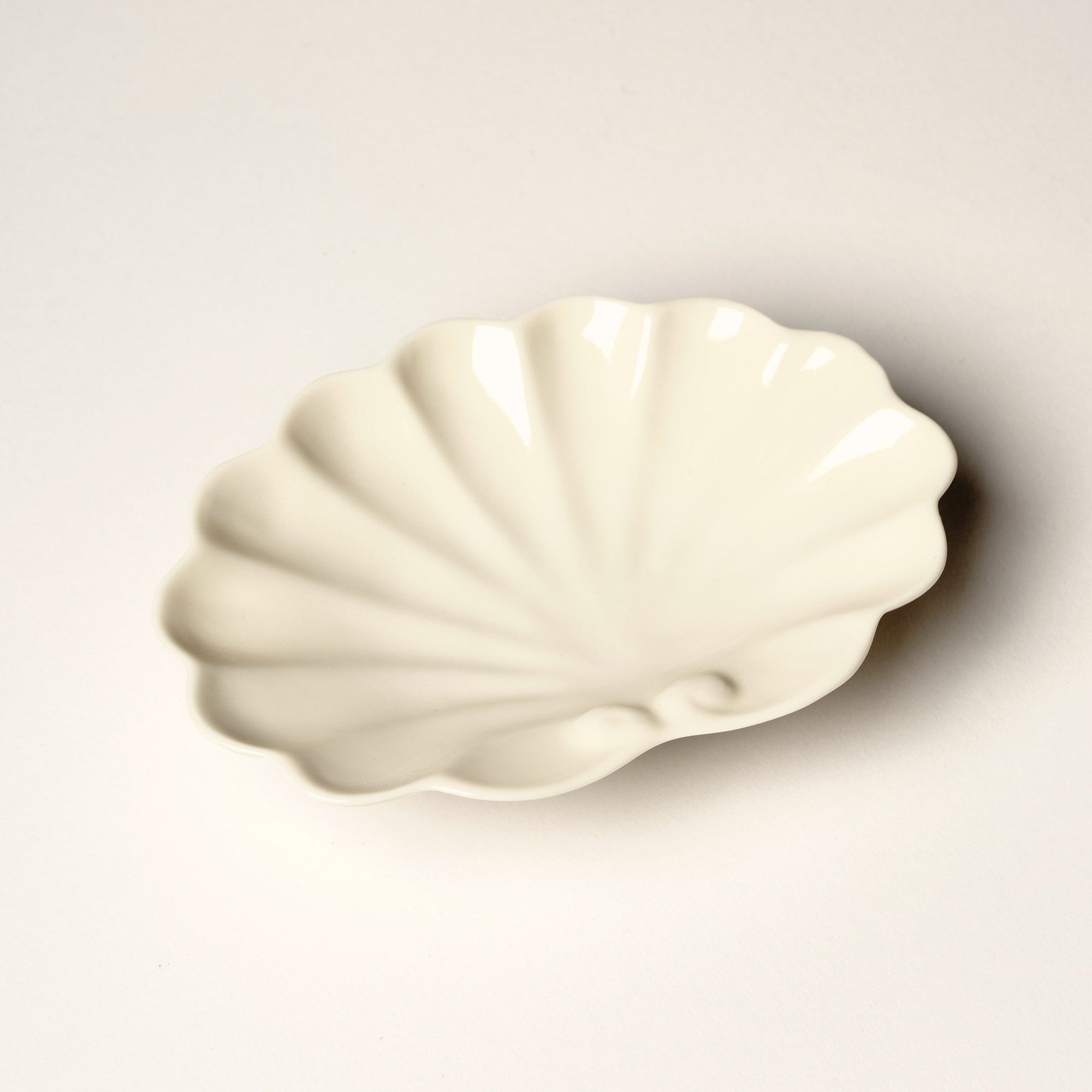 Shell soap dish on white background