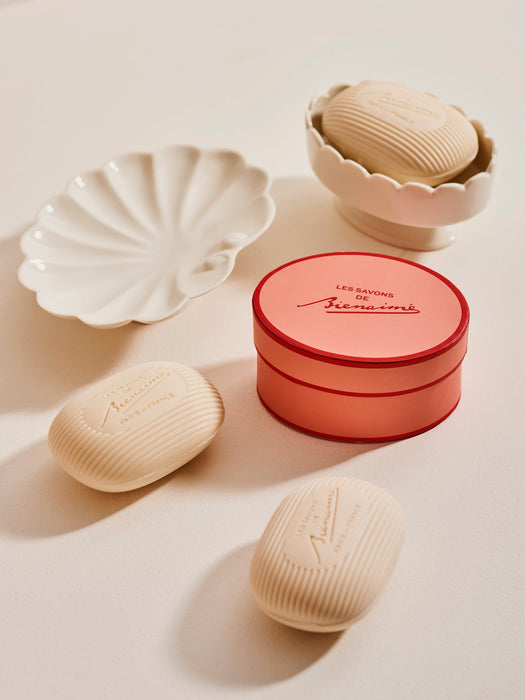 Shell Paper Holder