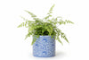 Ceramic planter with blue floral pattern on a white background