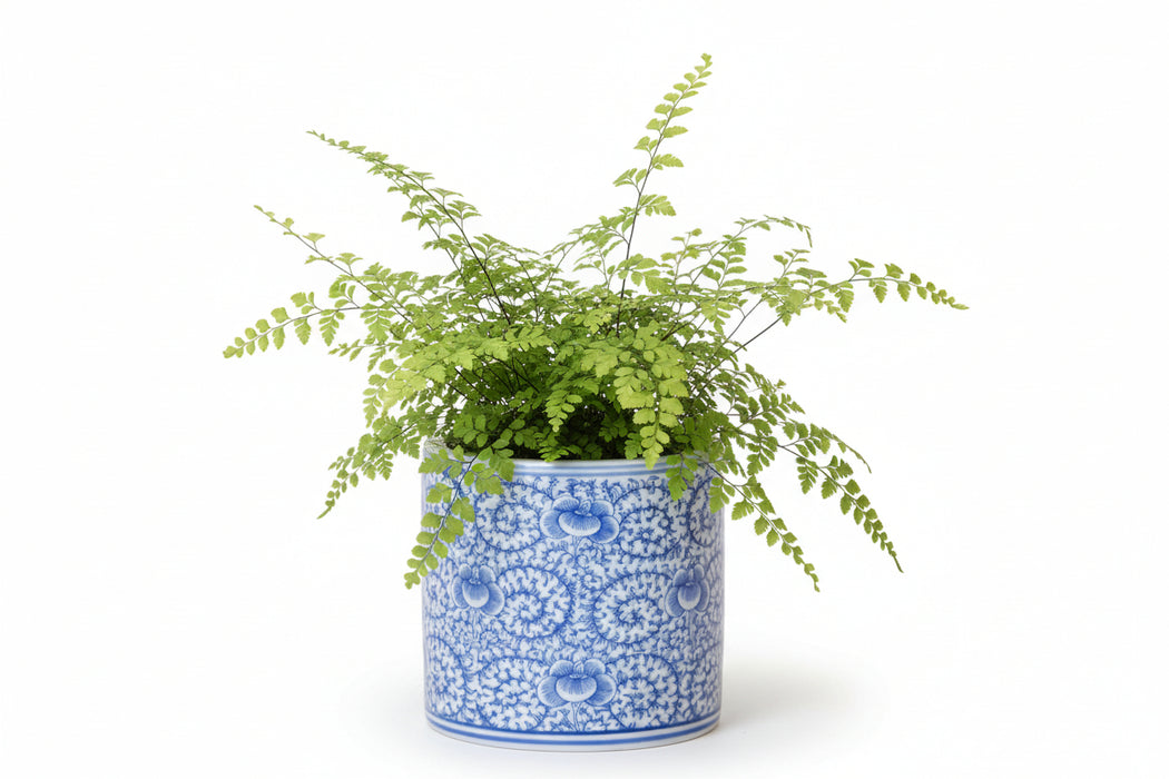 Ceramic planter with blue floral pattern on a white background