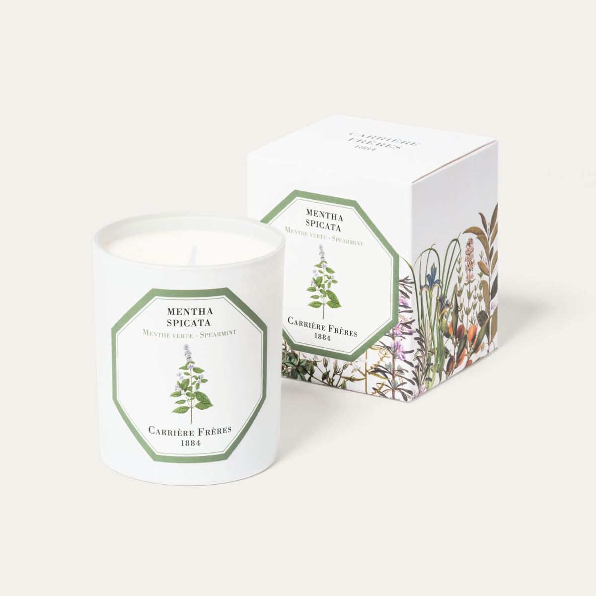 A white candle with a green label, depicting a plant, next to its packaging box adorned with plant illustrations.