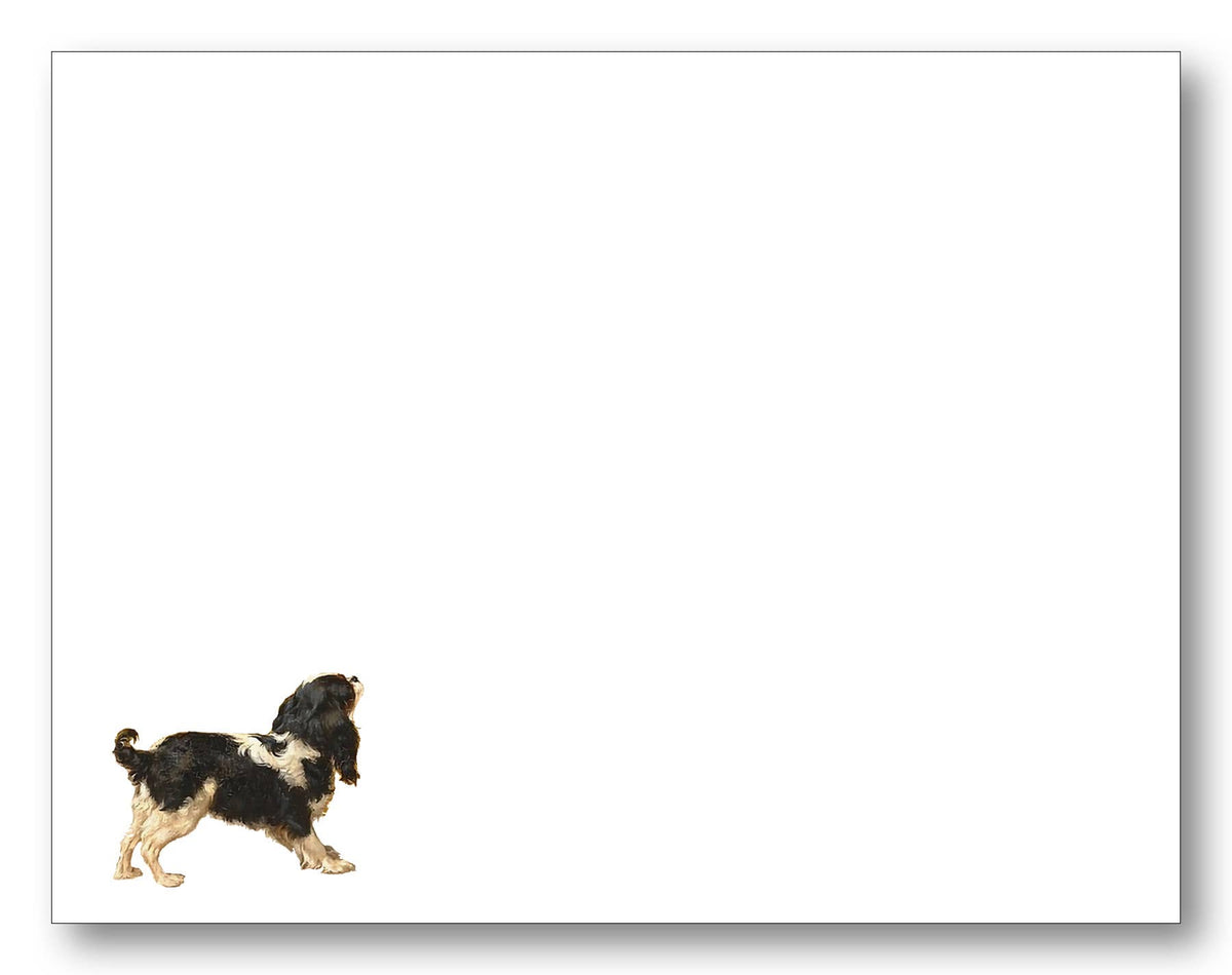 Flat note cards with envelopes featuring Cavalier King Charles Spaniel 