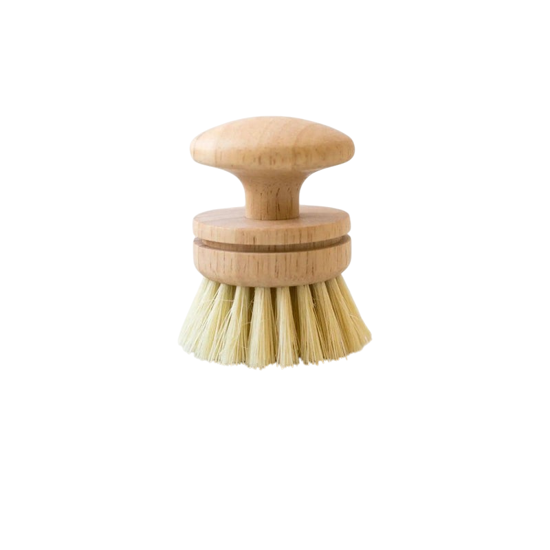 Dishwashing scrub brush with handle 