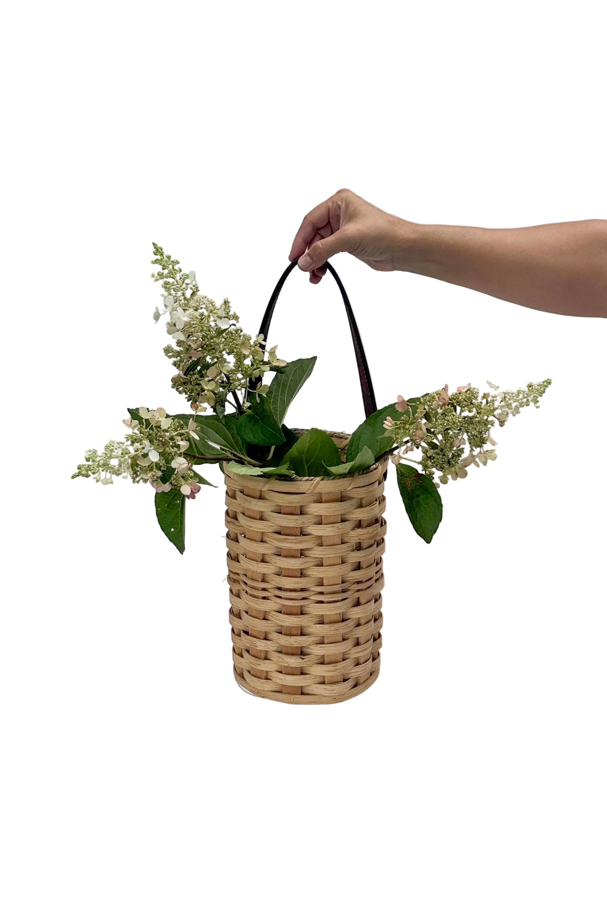 The Hanging Basket