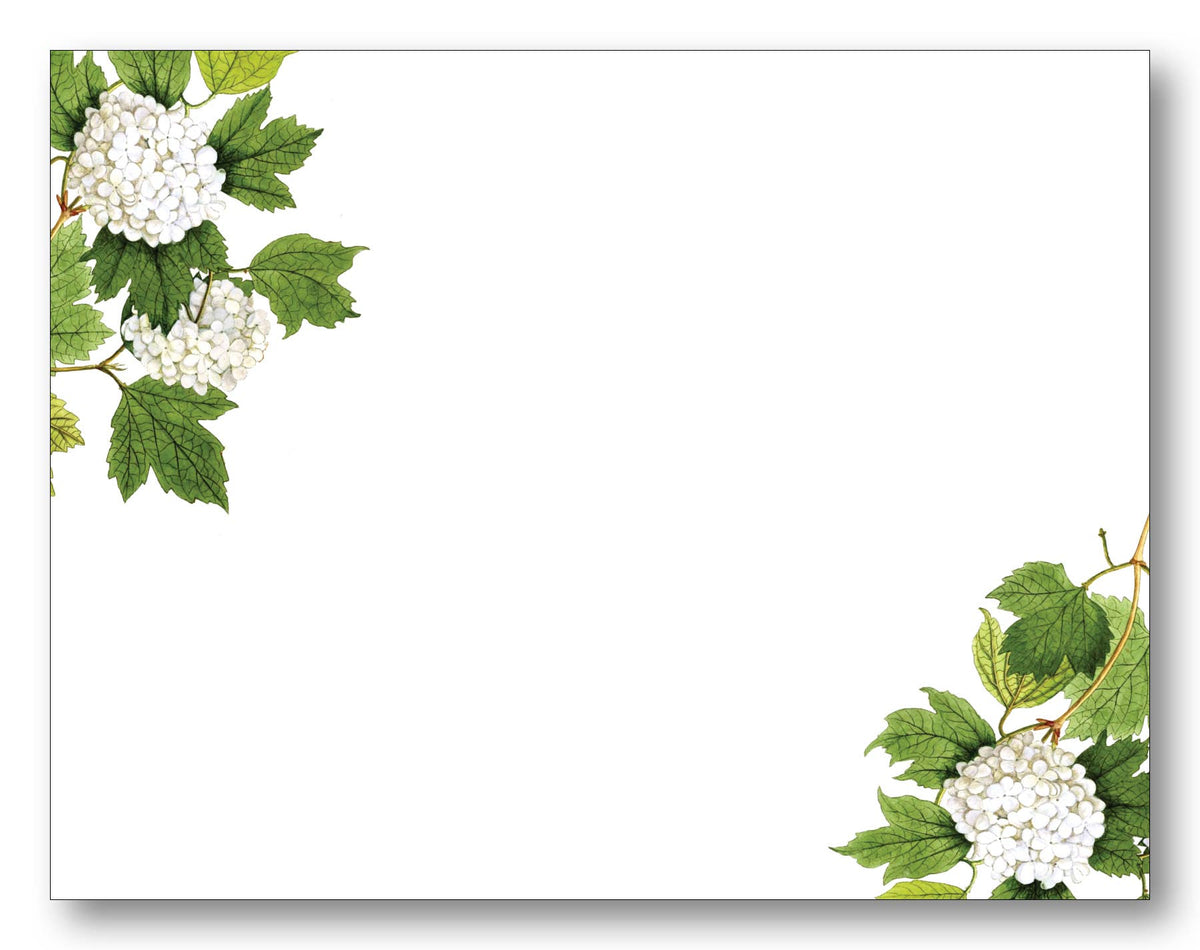 Card set of 8 cards and envelopes with white hydrangea in corners 