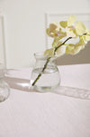 Clear glass vase with a yellow orchid on a white surface