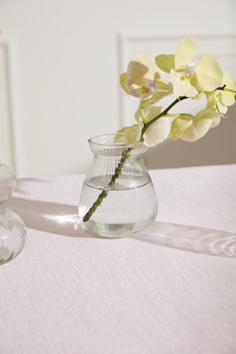 Clear glass vase with a yellow orchid on a white surface