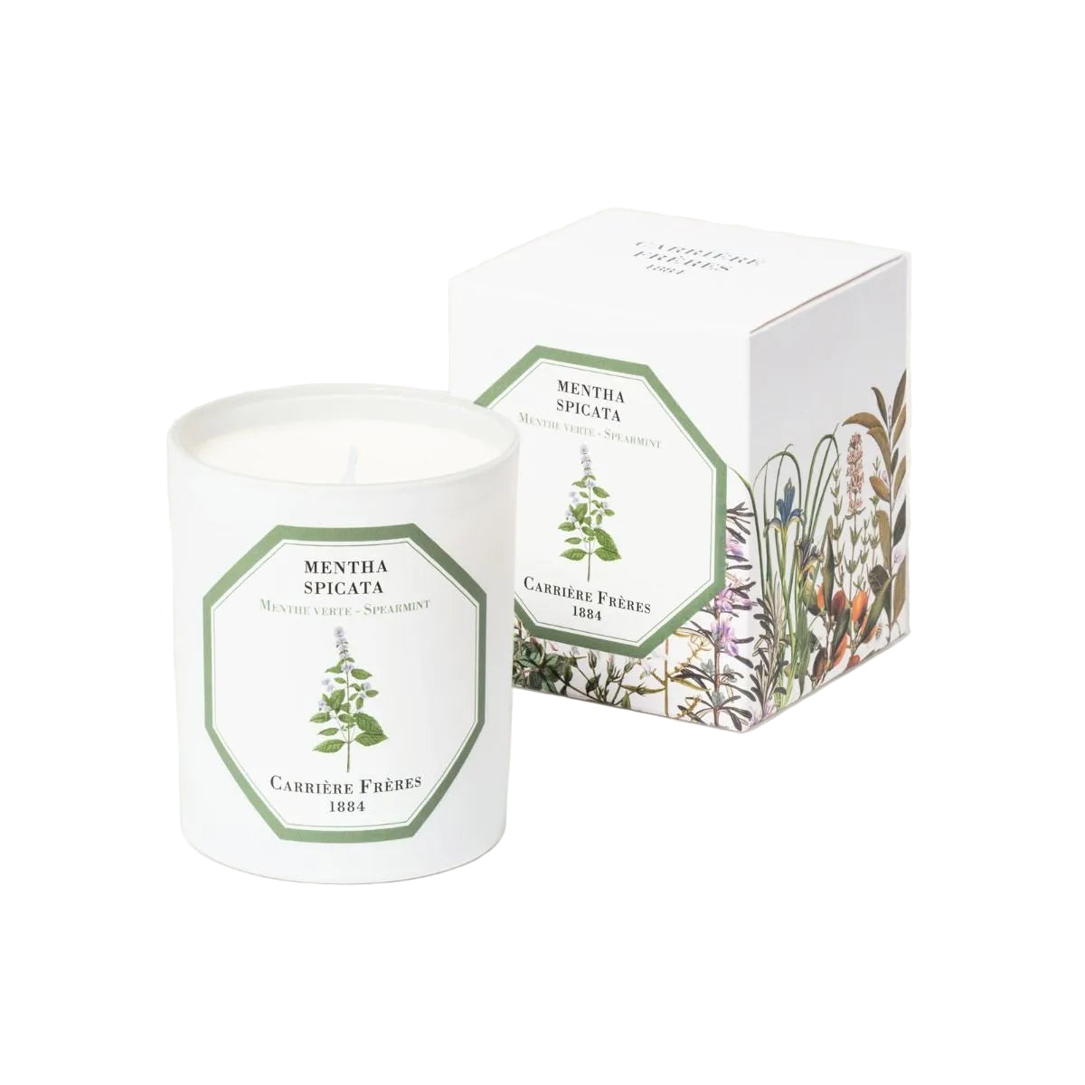 A white candle with a green label, depicting a plant, next to its packaging box adorned with plant illustrations.
