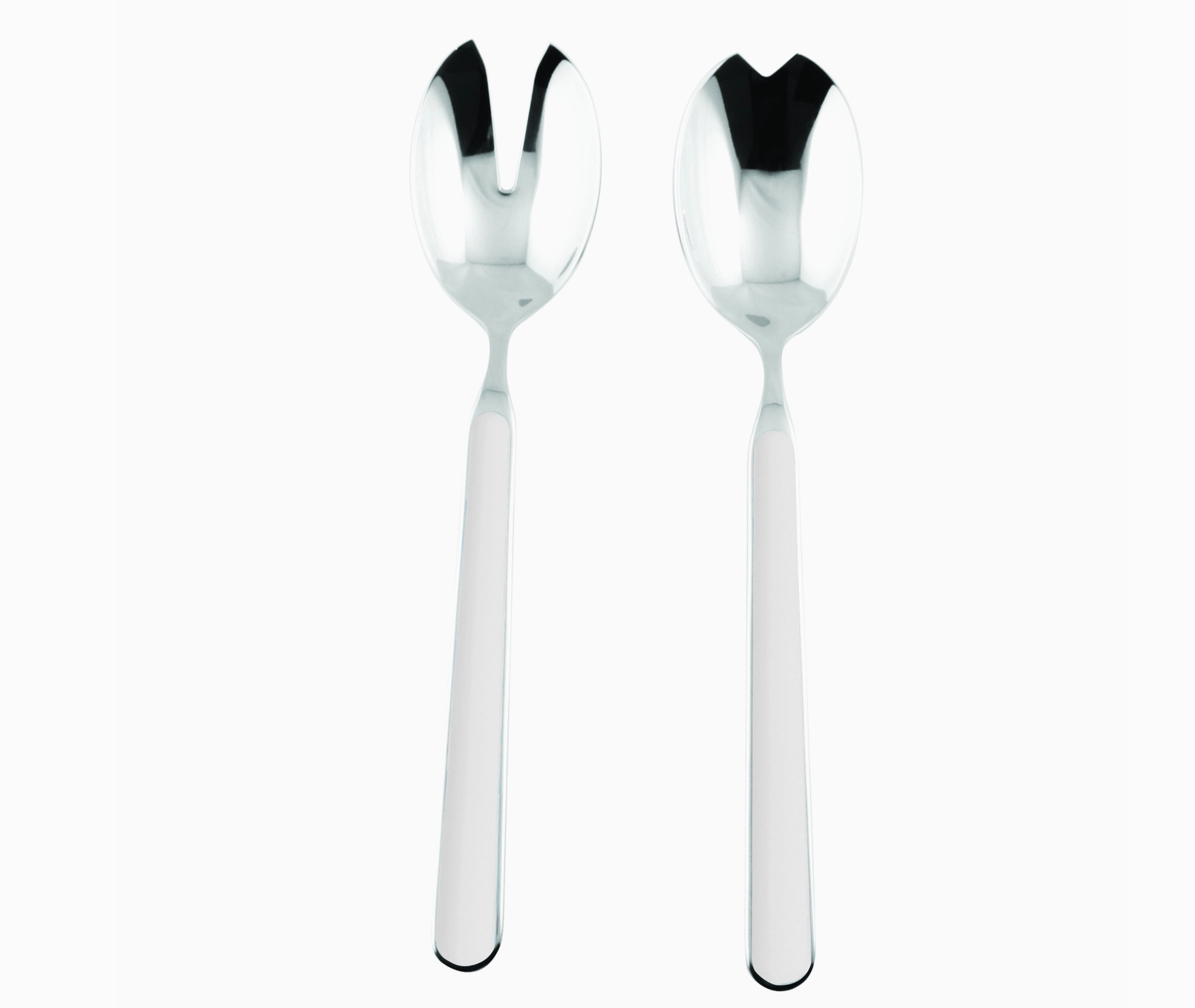 Italian salad set in white on white background 