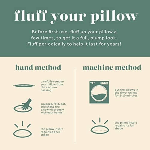 ComfyDown Decorative Throw Pillow Insert, Down - Square: 22X22