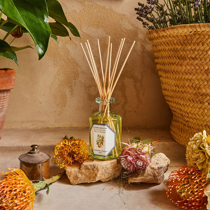 Citrus Dulcis - Orange Blossom
