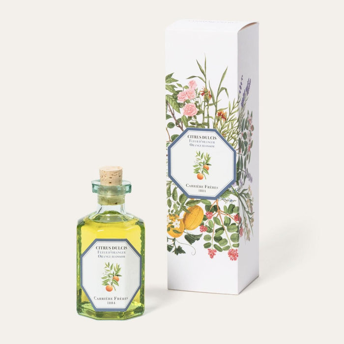 Citrus Dulcis - Orange Blossom