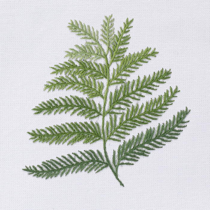 Fern Tissue Box Cover