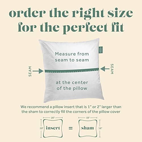 ComfyDown Decorative Throw Pillow Insert, Down - Square: 22X22