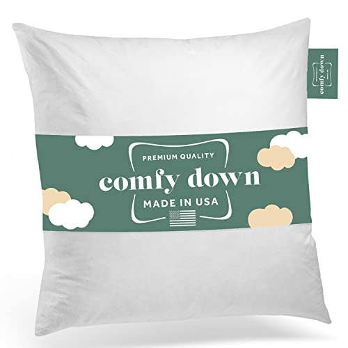 ComfyDown Decorative Throw Pillow Insert, Down - Square: 22X22