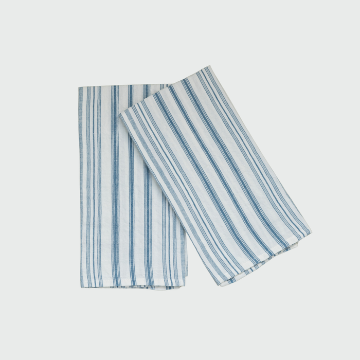 Stripe Dish Towel in Blue - Set of 2