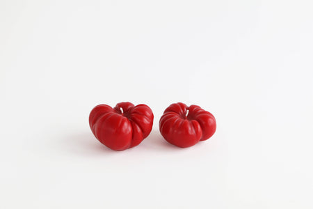 Two red fruits on a white background