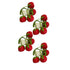 Pomodori with green vine natural fiber napkin rings set of 4 on white background 
